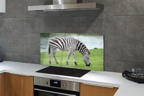 Szkło do Kuchni na Ścianę Portret Zebry w Paski