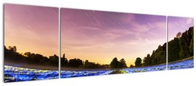 Obraz kolorowego pola (170x50 cm)
