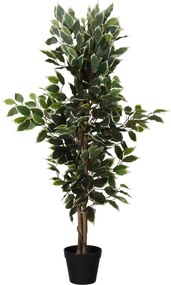 Sztuczne drzewko Fikus w czarnej doniczce, 115 cm