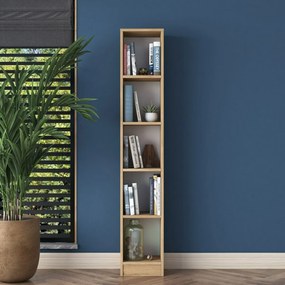 Biblioteczka Hale Walnut