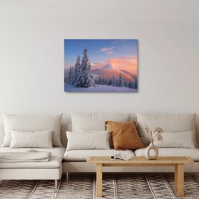 Obraz - Zimowy krajobraz (70x50 cm)