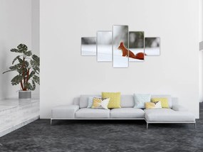 Obraz wiewiórki (125x70 cm)