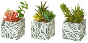Sztuczne rośliny zestaw 3 szt. (wysokość 12 cm) Cactus – Casa Selección