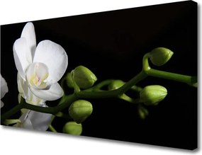 Obraz canvas Botaniczna Elegancja Kwiatów