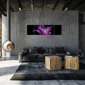 Obraz lilii (170x50 cm)