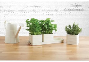 Zestaw 3 kremowych doniczek na zioła Kitchen Craft Living Nostalgia