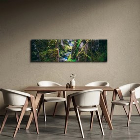 Obraz - Rzeka w skalistej dolinie (170x50 cm)