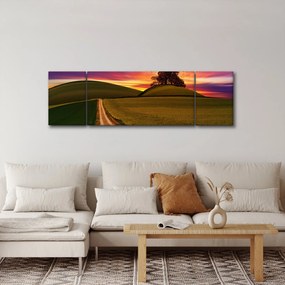 Obraz pola i kolorowego nieba (170x50 cm)