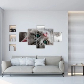 Obraz - Kot z zielonymi oczami (125x70 cm)