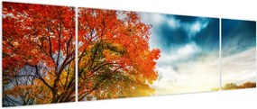 Obraz skąpanego w słońcu krajobrazu (170x50 cm)
