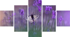 Obraz - Motyl w lawendach (125x70 cm)