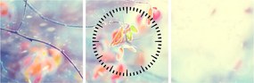 Obraz - Listki w lodzie (z zegarem) (90x30 cm)