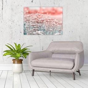 Obraz - Kwiaty polne (70x50 cm)