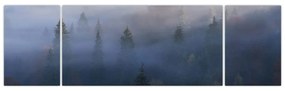 Obraz - Las we mgle, Karpaty, Ukraina (170x50 cm)