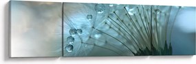 Obraz - Dmuchawiec - nafta (170x50 cm)