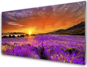 Szkło do Kuchni na Ścianę Pole Lawendy o Zmierzchu