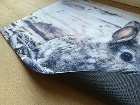 Wycieraczka Deco Star Myszoskoczek 50 cm x 80 cm