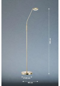 Lampa stojąca LED w kolorze złota ze ściemniaczem (wysokość 150 cm) Dent – Fischer &amp; Honsel