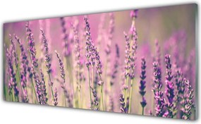 Panel Szklany Rozkwitająca Natura w Kwiatach