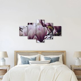 Obraz - Magnolia (125x70 cm)