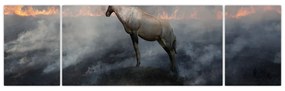 Obraz kozicy w płomieniach (170x50 cm)