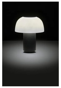 Czarna aluminiowa lampa stołowa LED ze ściemniaczem (wysokość 22 cm) Harvest – Zone