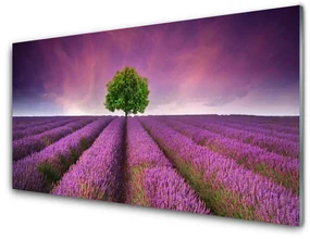 Panel Szklany Łąka Drzewo Przyroda