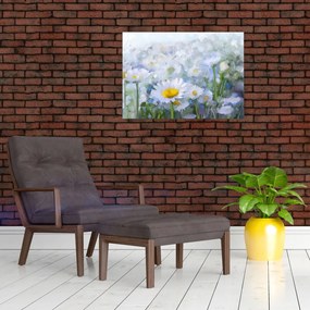 Obraz na szkle - W stokrotkach (70x50 cm)