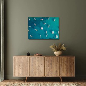 Obraz - Żaglówki (70x50 cm)