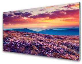 Panel Kuchenny Łąka Góra Kwiaty Natura