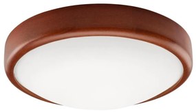 LED Lampa sufitowa 1xLED/12W/230V