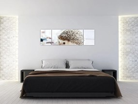 Obraz jeża (170x50 cm)