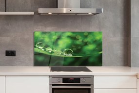 Szklany Panel Rosa w Przybliżeniu