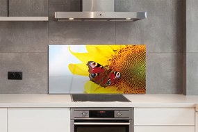 Panel Szklany Motyl na tle Słonecznika