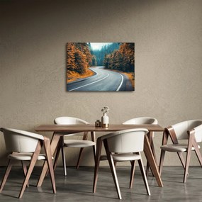 Obraz - Kręta droga (70x50 cm)