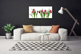 Obraz Canvas Tulipany Kwiaty Roślina