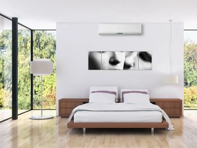 Obraz - Para (170x50 cm)