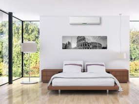 Obraz - Koloseum w Rzymie, czarno-biały (170x50 cm)