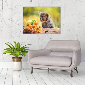 Obraz na szkle - kotek patrzący na kwiat (70x50 cm)