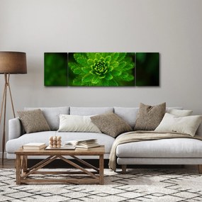 Obraz drzewa iglastego (170x50 cm)