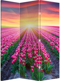 Parawan - Pole tulipanów ze Słońcem (126x170 cm)
