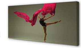 Zdjęcie na płótnie Baletnica z Różowym Materiałem