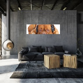 Obraz psa ze słuchawkami (170x50 cm)