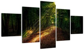 Obraz leśnej ścieżki (125x70 cm)