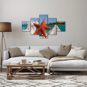 Obraz rozgwiazdy (125x70 cm)