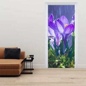 Fototapeta na drzwi - Kwiaty w deszczu (95x205cm)