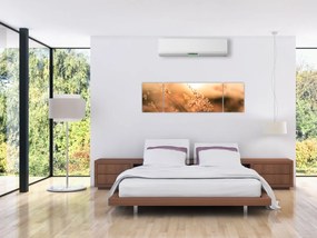 Obraz - Trawa  na słońcu (170x50 cm)