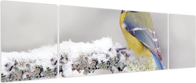 Obraz - Sikora modraszka w lesie (170x50 cm)