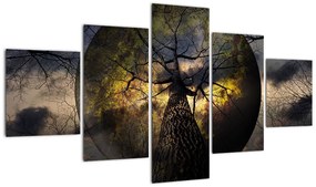 Obraz - Tajemnicze niebo (125x70 cm)