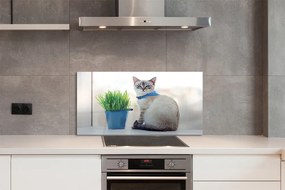 Panel szklany do Kuchni Dostojny Siedzący Kot